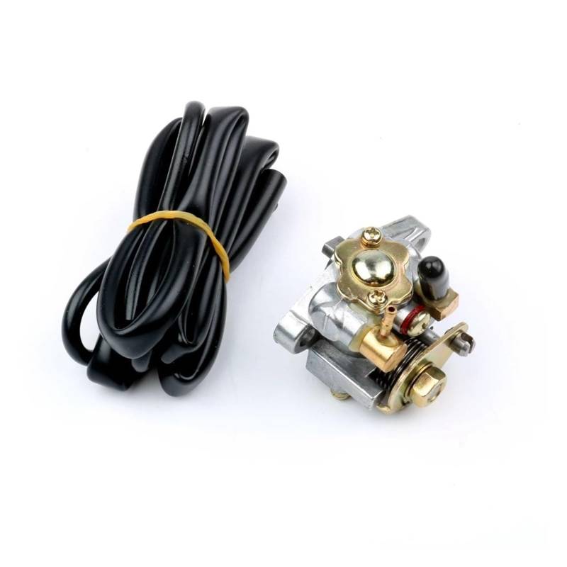 Kraftstoffpumpe Für DT 50ccfor Für DTX Für SM 50cc Für TZR 50cc AM6 2003 Für Minarelli 2-Takt-Motorrad-Ölpumpe von KIFWGIH