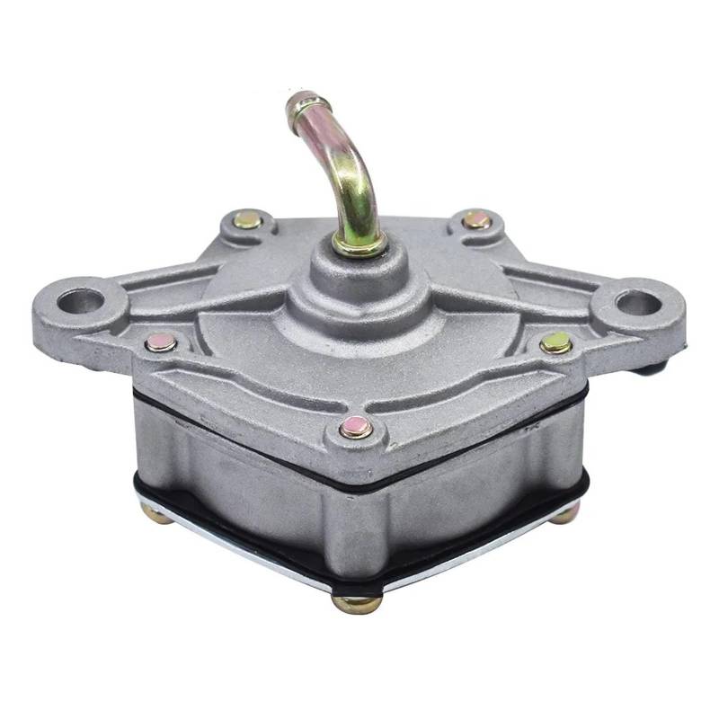 Kraftstoffpumpe Für Suzuki Für Quadrunner 250 LTF250 LTF4WD LTF250F 1985 1986 1987 1988 1989 1990 1991 1992 1993 1994 1995-1999 Gas Kraftstoff Pumpe von KIFWGIH