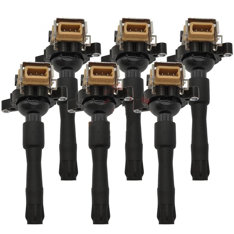 Zündspule 1PCS/6PCS 12131748017 Zündspule 1748017 LR022494 Für Land Für Rover Für Freelander 2,5 L V6 2002-2005 Für Range Für Rover 4,4 L V8 2004-2005 Zündeinheit(6pcs) von KIRYU
