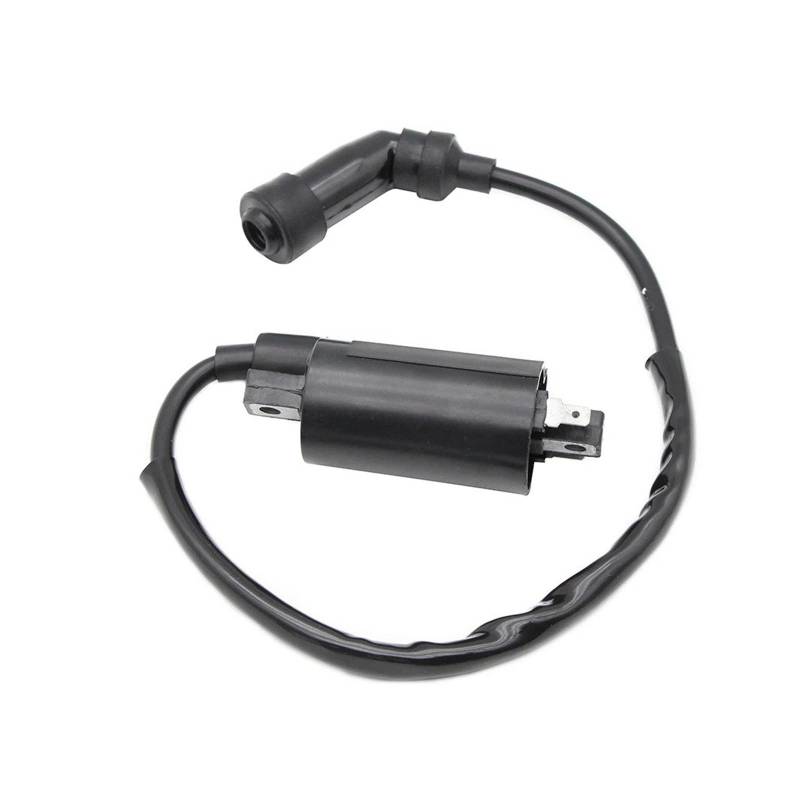 Zündspule Motorrad Zündspule Für Suzuki DR125 DR200 DR200SE TU125 GN125 GS125 DF200 DF125 EN125 33410-14F00 33410-14F00 33410-05360 Zündeinheit von KIRYU