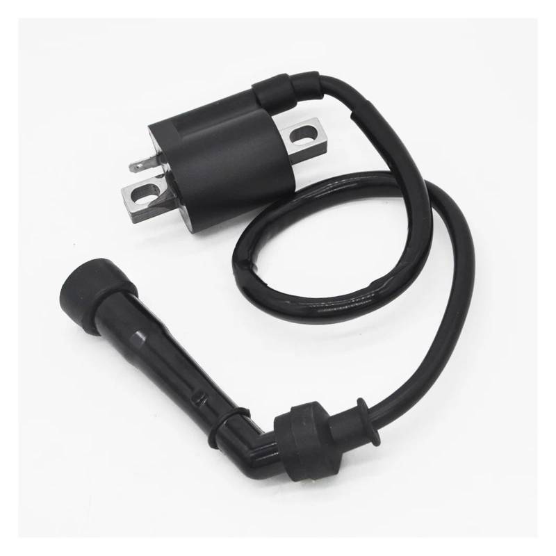 Zündspule ZÜNDSPULE Für Suzuki Für LTZ400 Für LT-Z 400 QUADSPORT 2003 2004 2005 2006 2007 2008 Neue Zündeinheit von KIRYU