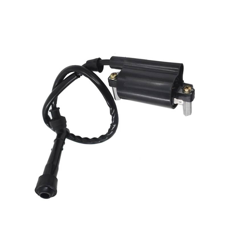 Zündspule ZÜNDUNG COI Für Suzuki Für Savage 650 LS650P 1986 1987 1988 1995 1996 1997 1998 1999 2000 2001 2002 2003 2004 Zündeinheit von KIRYU