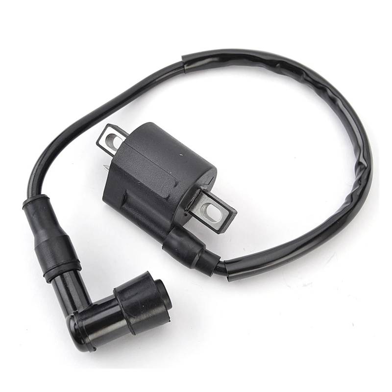 Zündspule Zündspule Assy Für TW200 TW200E TW125 TTR90 TTR110 TTR125 TTR125E TTR125L 3305-222 3305223 Zündeinheit von KIRYU