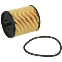 Ölfilter KNECHT OX 182D von Knecht