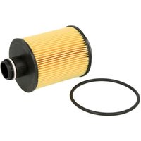 Ölfilter KNECHT OX 559D Ölfilter KNECHT OX 559D von Knecht