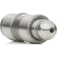 KOLBENSCHMIDT Hydrostößel 50006414 Stößel,Ventilstößel BMW,VOLVO,MINI,3 Touring (E91),3 Limousine (E90),3 Limousine (E46),5 Touring (F11) KOLBENSCHMIDT Hydrostößel 50006414 Stößel,Ventilstößel BMW,VOLVO,MINI,3 Touring (E91),3 Limousine (E90),3 Limousine (E46),5 Touring (F11) von KOLBENSCHMIDT