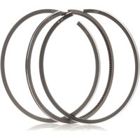 KOLBENSCHMIDT Kolbenringsatz Zyl.Bohr.: 79,51mm 800000810000 VW,AUDI,FORD,Golf IV Schrägheck (1J1),POLO (9N_) KOLBENSCHMIDT Kolbenringsatz Zyl.Bohr.: 79,51mm 800000810000 VW,AUDI,FORD,Golf IV Schrägheck (1J1),POLO (9N_) von KOLBENSCHMIDT