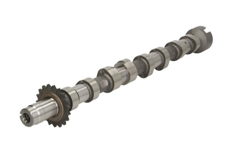 KOLBENSCHMIDT Nockenwelle FIAT,PEUGEOT,CITROËN 50007012 0801AE KOLBENSCHMIDT Nockenwelle FIAT,PEUGEOT,CITROËN 50007012 0801AE von KOLBENSCHMIDT