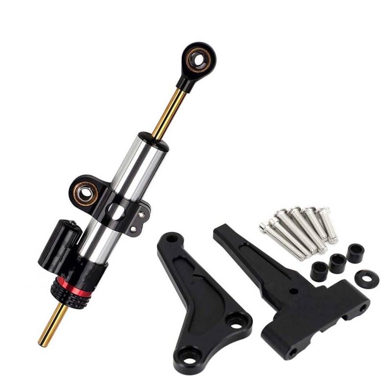 KRFDSV Lenkungsdämpfe Stabilizer Kompatibel Mit Street Für Triple Für 765 RS Für 765 R Für 1200 RS Motorrad Modifizierte Lenkungsdämpfer-Stabilisator-Montagehalterung(B) von KRFDSV