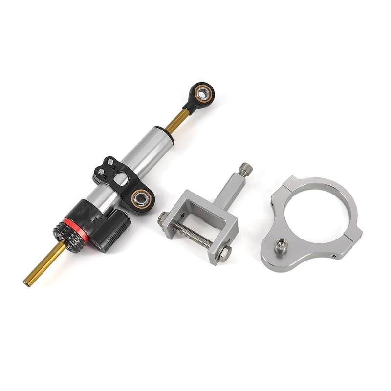 KRFDSV Lenkungsdämpfe Stabilizer Kompatibel Mit Tiger 900 GT Motorrad Dämpfer Stoßdämpfer Motorrad Lenkung Dämpfer CNC Dämpfer Halterung Montieren Moto Lenkung Dämpfer Stoßdämpfer(Silver,B) von KRFDSV