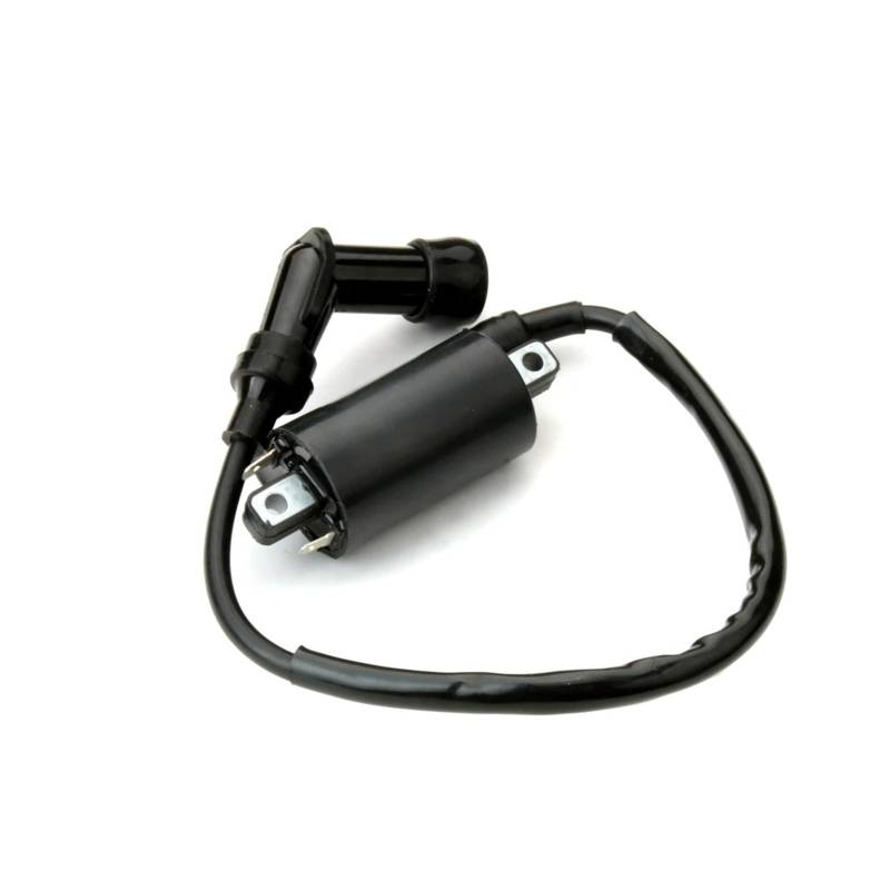 Zündspule Zündspulen Motorrad Roller Zündspule Für Kymco Für Grand Für Vista Für Dink Für Euro 2 250cc 3051A-KKC4-9000 von KUVIEZ