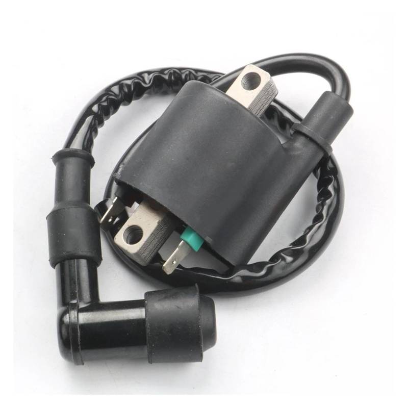 Zündspule Zündspulen Motorrad Zündspule Für CBF125 CBR125 CR125 CR250 CRF450 CR500 TRX650 TRX700 30510-KTY-D31 & 30700-KWF-950 von KUVIEZ