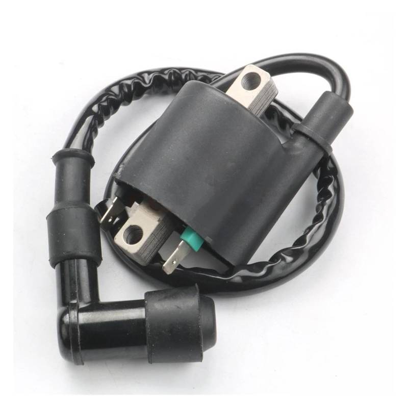 Zündspule Zündspulen Motorrad Zündspule Für CBF125 CBR125 CR125 CR250 CRF450 CR500 TRX650 TRX700 30510-KTY-D31 & 30700-KWF-950 von KUVIEZ
