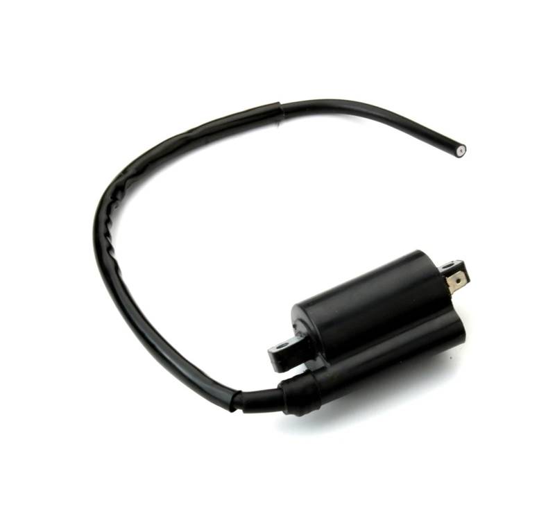 Zündspule Zündspulen Motorrad Zündspule Für Ducati F3 400 Für GTL Für Twin Für Parallelo 500 Für Monster Für Dark 620 F1 GT Für Paso Für Sport Für Desmo 750 von KUVIEZ