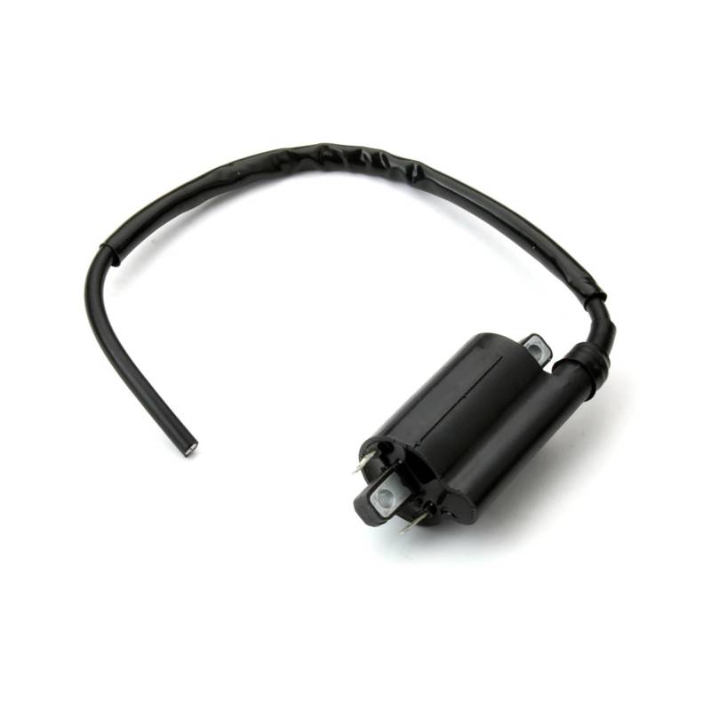 Zündspule Zündspulen Motorrad-Zündspule Für VP Für YPR X Für Max 125 Für City 300 Für Virago 535 XT R 660 Für YFM Für Grizzly Für TDM 900 Für XVS Für Mitternacht von KUVIEZ
