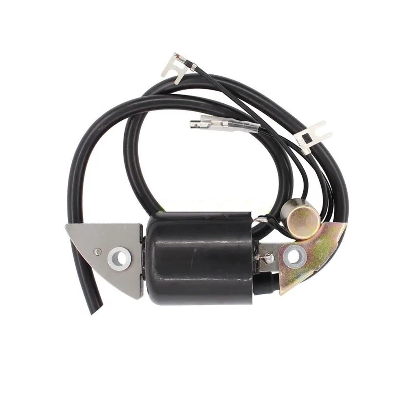 Zündspule Zündspulen Zündspule Ersetzen Reparatur Teile Für G150 G200 G300 G400 30500-887-303 30560-883-015 Zubehör Zündspule Zündspulen Zündspule Ersetzen Reparatur Teile Für G150 G200 G300 G400 30500-887-303 30560-883-015 Zubehör von KUVIEZ