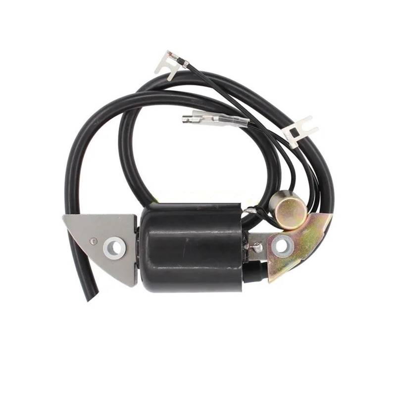 Zündspule Zündspulen Zündspule Ersetzen Reparatur Teile Für G150 G200 G300 G400 30500-887-303 30560-883-015 Zubehör von KUVIEZ