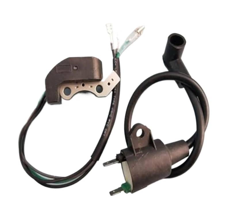 CDI Zündspule Für ET950 Für ET650 Für IE45F Für TG950 Für Tiger Generator 450W 650W 800W 950W 1000W 2 Hub Mit Magneto Zündgerät Zündung Schalter von KVGAEANDNK