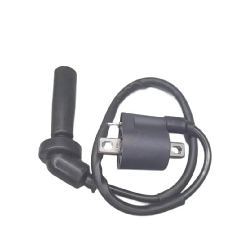 CDI Zündspule Für Hyosung Für Gt250 Für GD250R Für GV125 Für GV250 Für GT125 Für RT125 Für HG5 Für HK3 Für HM8 Zündspule Zündkerzenstecker Kabelschuh von KVGAEANDNK
