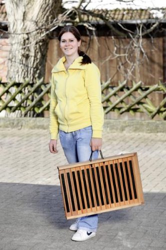 Karlie Hunderampe Klappbar - 120 x 40 x 4 cm Karlie Hunderampe Klappbar - 120 x 40 x 4 cm von Karlie