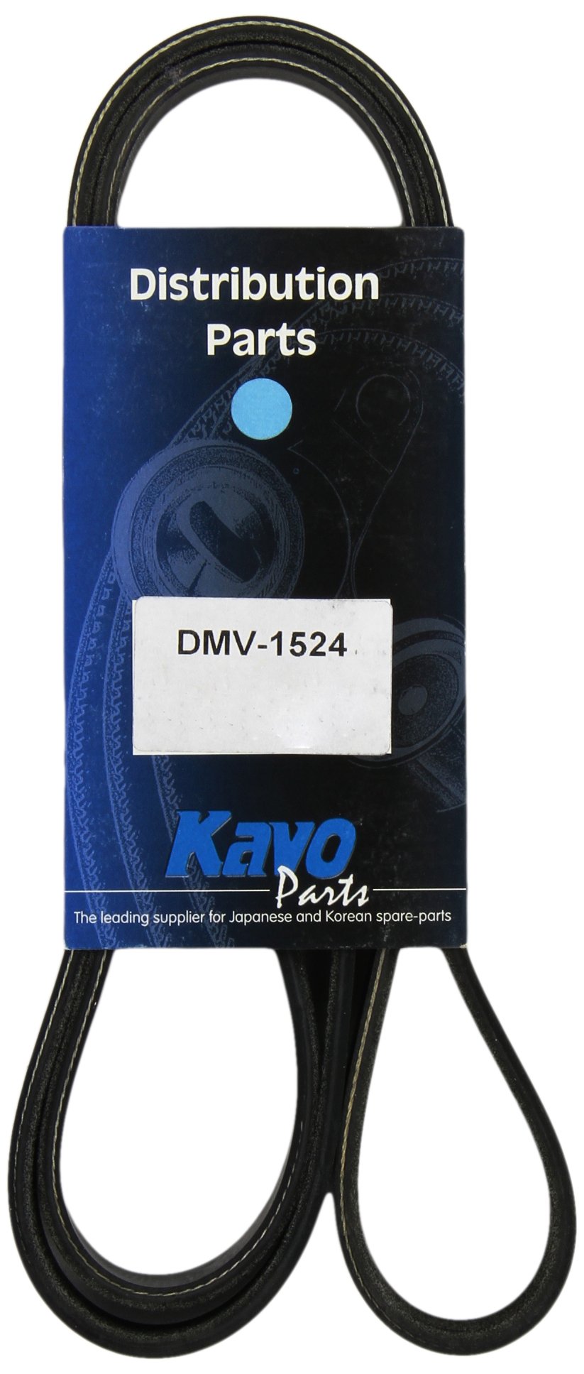 Kavo Parts DMV-1524 Keilrippenriem für Daihatsu Materia/Daihatsu Terios/Kia Carnival/Daihatsu Sirion/Kia Carnival von Kavo Parts