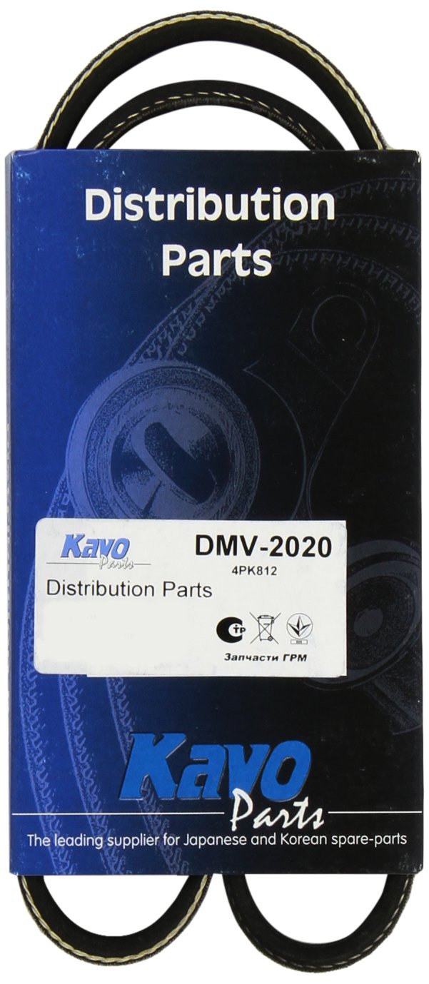 Kavo Parts DMV-2020 Keilrippenriem von Kavo Parts