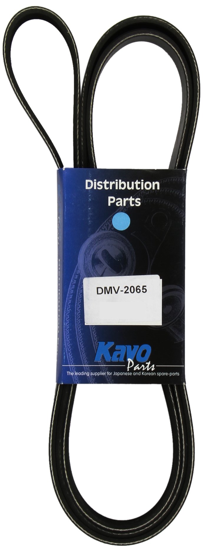 Kavo Parts DMV-2065 Keilrippenriem von Kavo Parts