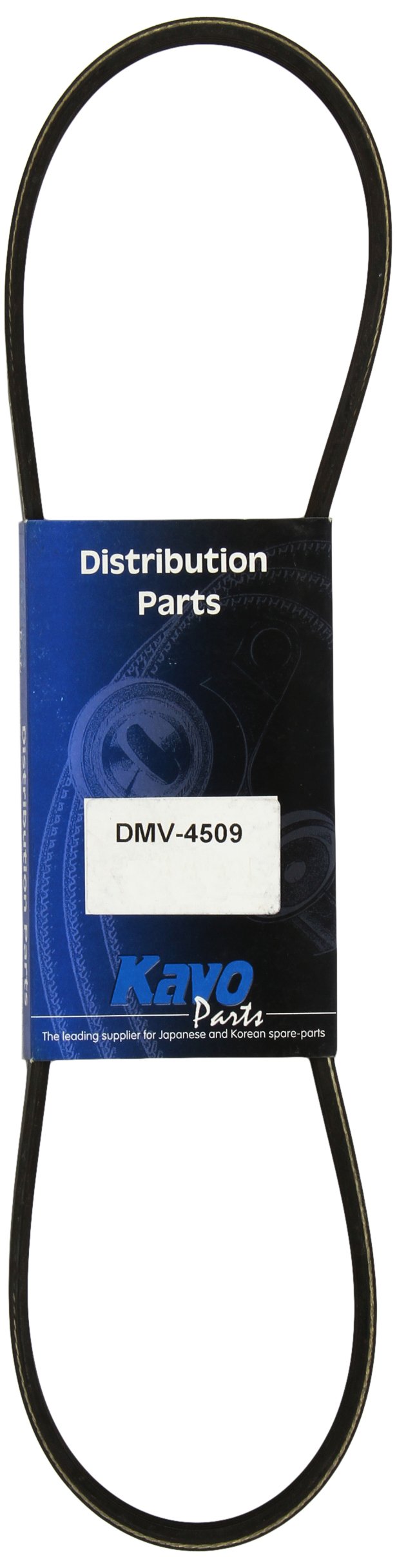 Kavo Parts DMV-4509 Keilrippenriem von Kavo Parts