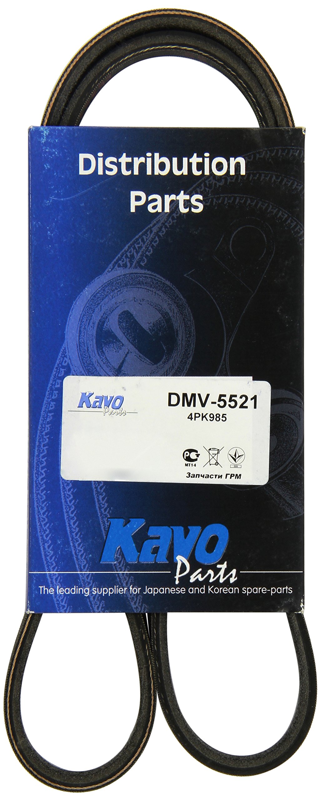 Kavo Parts DMV-5521 Keilrippenriem für Mitsubishi Eclipse/Mitsubishi L 400/Mitsubishi L 300 von Kavo Parts