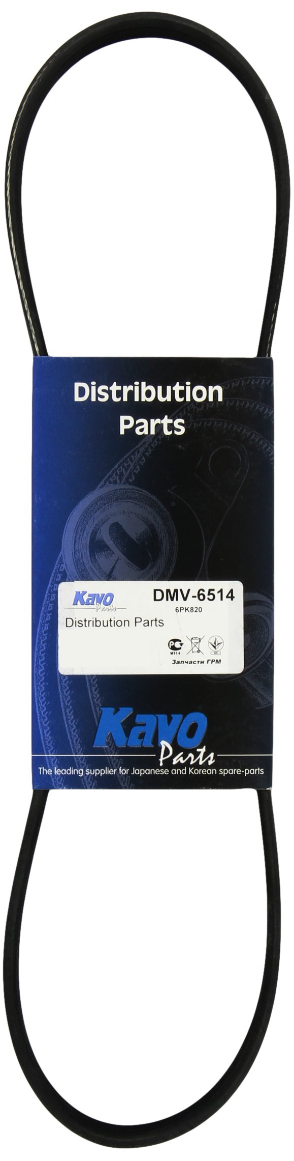 Kavo Parts DMV-6514 Keilrippenriem von Kavo Parts