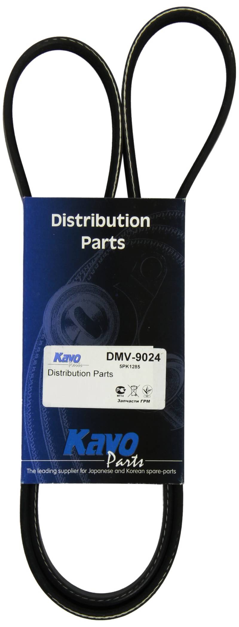 Kavo Parts DMV-9024 Keilrippenriem für Toyota Supra/Nissan Pathfinder von Kavo