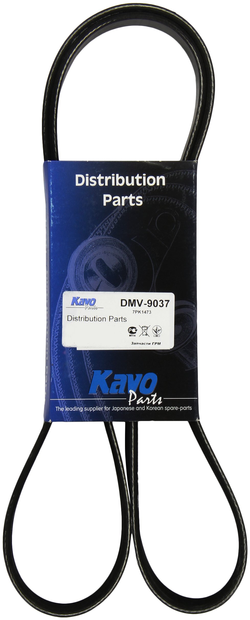 Kavo Parts DMV-9037 Keilrippenriem für Toyota Hilux/Toyota Hiace/Toyota Dyna von Kavo Parts
