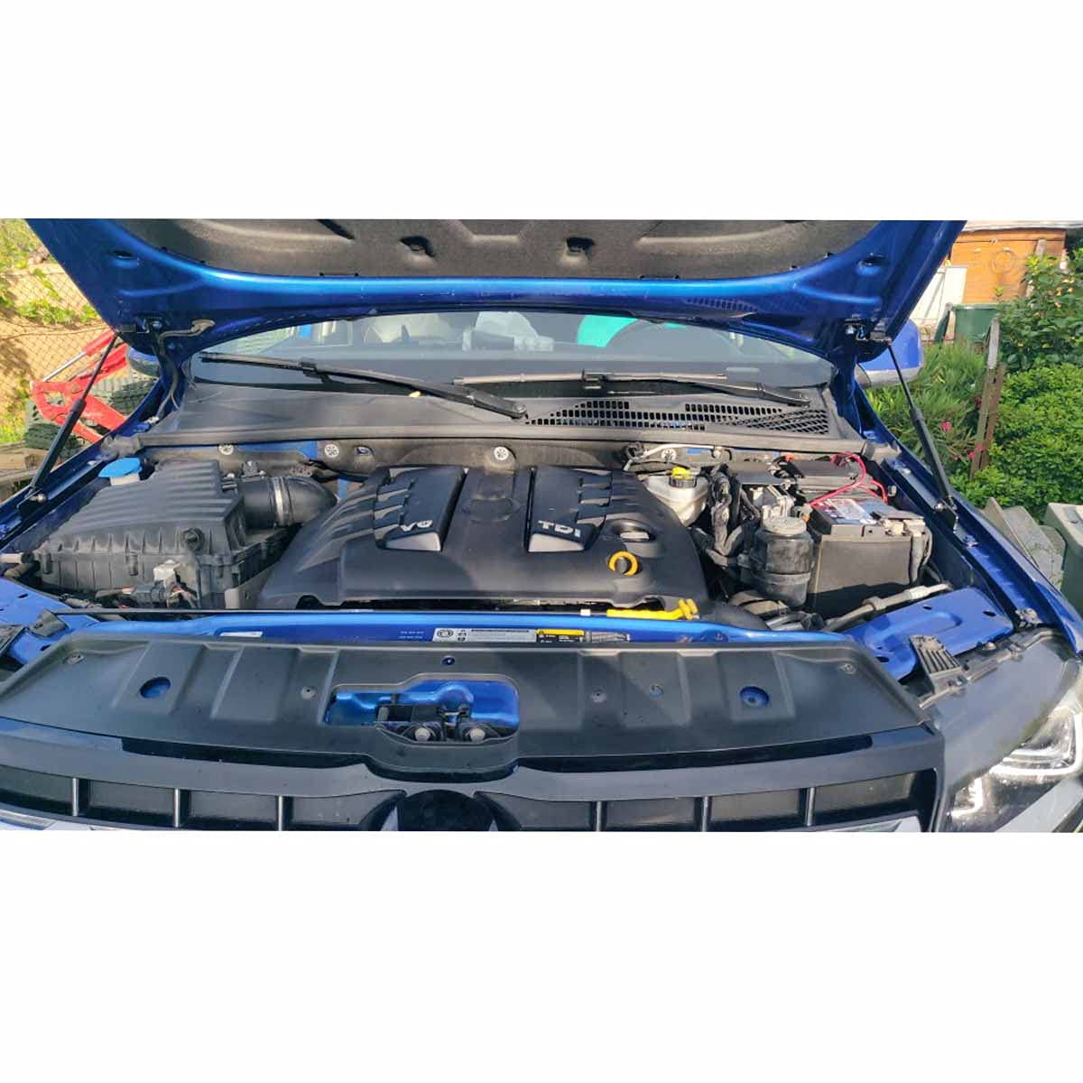 Kedoukj Vorderer Kohlefaser-Dämpfer für Volkswagen Amarok 2010-2017, schwarz, rot, blau, silber, orange Kedoukj Vorderer Kohlefaser-Dämpfer für Volkswagen Amarok 2010-2017, schwarz, rot, blau, silber, orange von Kedoukj