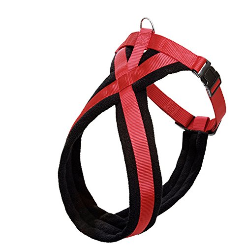 Kimfoxes No-Pull-Hundegeschirr sicher Kontrolle Easy Soft gepolstertes Hundegeschirr Ultra-Soft Softgeschirr Brustgeschirr Hunde Geschirr Sicherheitsgeschirr f¨¹r Kleine Mittelgro?e Hunde Haustier Kimfoxes No-Pull-Hundegeschirr sicher Kontrolle Easy Soft gepolstertes Hundegeschirr Ultra-Soft Softgeschirr Brustgeschirr Hunde Geschirr Sicherheitsgeschirr f¨¹r Kleine Mittelgro?e Hunde Haustier von Kimfoxes