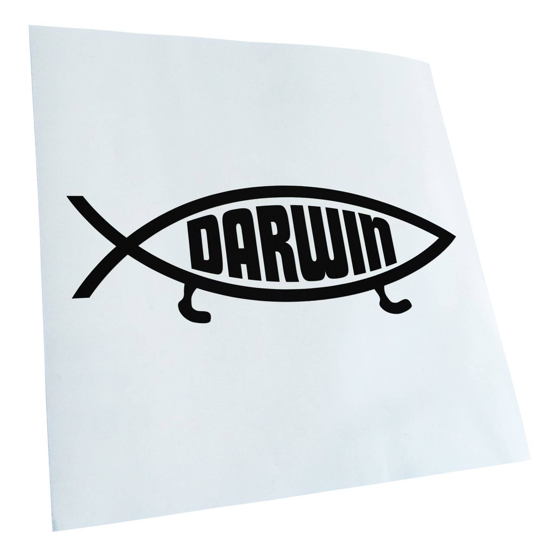 Kiwistar - Autoaufkleber - Schwarz - 15x5cm Darwin Fisch Aufkleber für Auto, Laptop, Fahrrad, LKW, Motorrad Mehrfarbig JDM Decal Racing Kiwistar - Autoaufkleber - Schwarz - 15x5cm Darwin Fisch Aufkleber für Auto, Laptop, Fahrrad, LKW, Motorrad Mehrfarbig JDM Decal Racing von Kiwistar