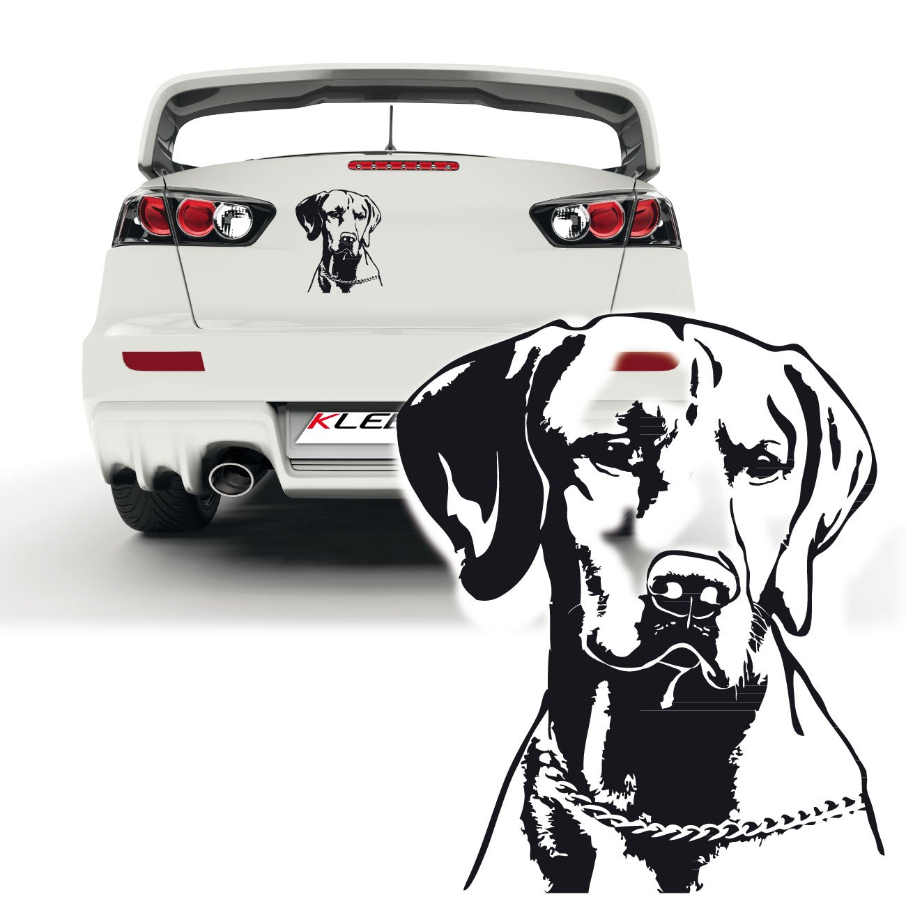 Hundeaufkleber Vizsla Sticker mit Wunschname Autotattoo Heckmotiv Dog Ungarischer Vorsteherhund |KB902 von Klebe-X