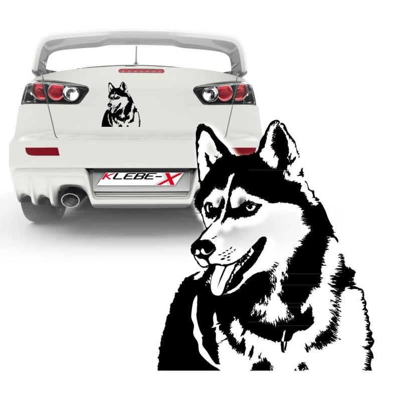 Husky Wandtattoo Sticker Folienplot Motive Hunde Autoaufkleber | KB076 von Klebe-X