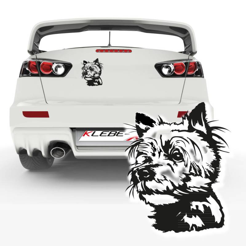Yorkshire Terrier Rassehund Aufkleber für das Fahrzeug Autotattoo Sticker Hundemotive Tieraufkleber |KB804 von Klebe-X