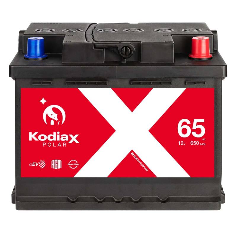 Kodiax AGM Autobatterie 12V 65Ah 650A/EN von Kodiax