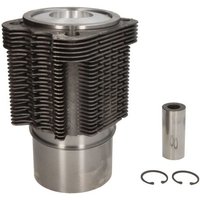 Reparatursatz, Kolben/Zylinderlaufbuchse KOLBENSCHMIDT 93535960 Reparatursatz, Kolben/Zylinderlaufbuchse KOLBENSCHMIDT 93535960 von Kolbenschmidt