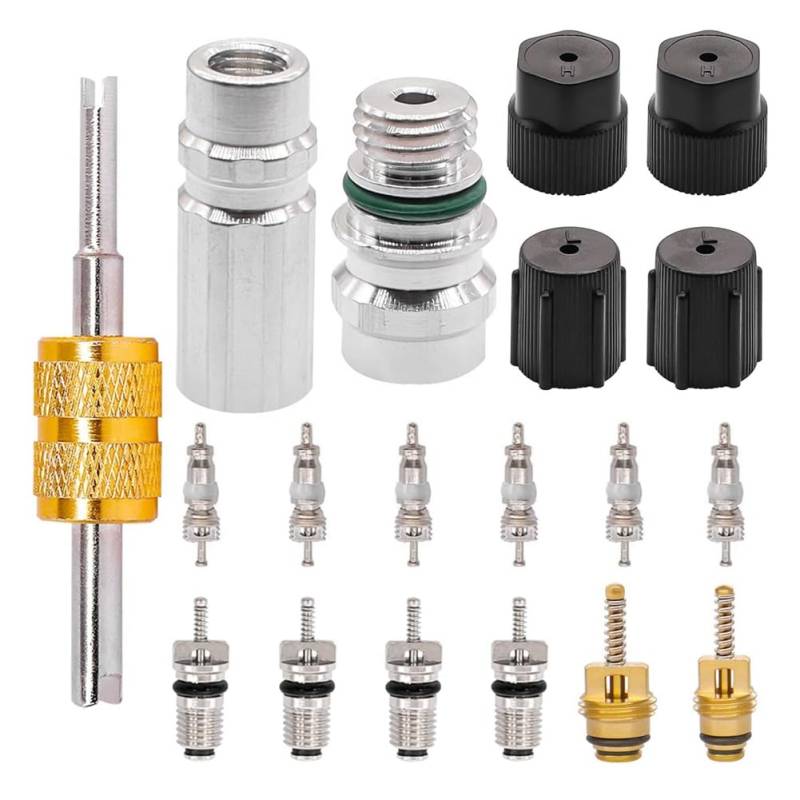 Koolenry Essential 19PCS Auto-Klimaanlagen-Reparaturset für R12 R134a-Systeme, Umfasst Klimaanlagenventilkern und Dichtringkappen von Koolenry
