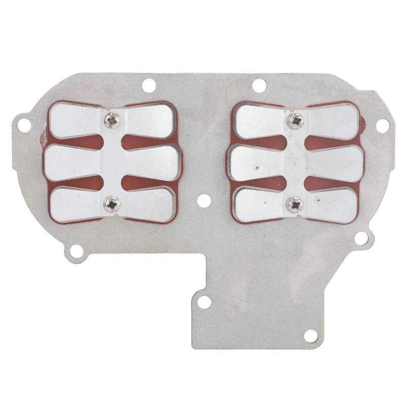 Kuuleyn Außenborder Motorschilfventil Assy, Außenbordmotor -Einlass -Schilfventil Assy, Außenbordermotor -Einlass -Schilfventil Assy für 2 Takt 30h P Außenbordermotor von Kuuleyn