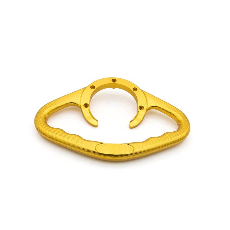 LBLIRESP Motorrad Passagier Handgriffe Handgriff Tank Grab Bar Griffe Armlehne Compatible with Hon da CBR1100XX Super Blackbird CBR 1100 X X 1996-2007(Gold) von LBLIRESP
