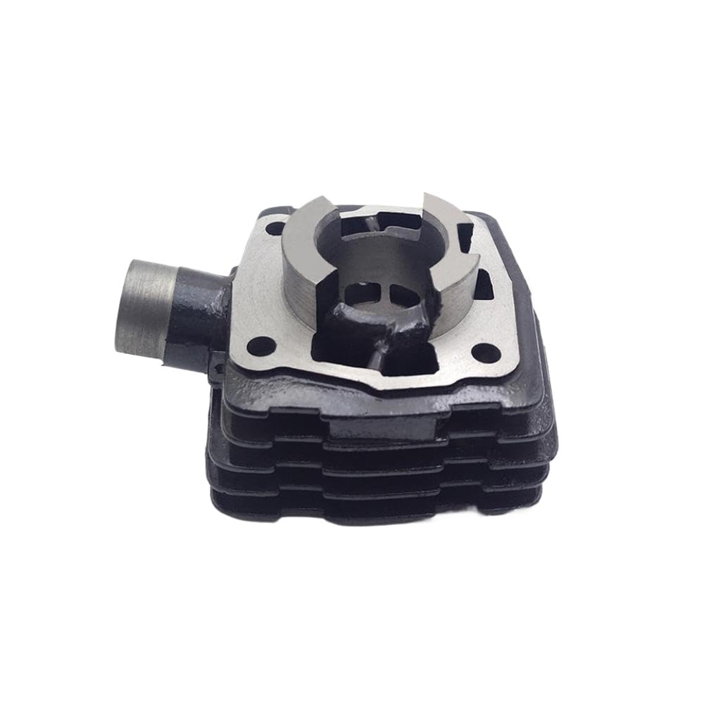 LCYSXTFZ 50cc -Luftzylinder Block Kopfbedeckungsschutzkolbenringlagerdichtung Dichtungsdichtung kompatibel mit 50 SX 50SX Motorradmotorteilen(Cylinder Block) von LCYSXTFZ