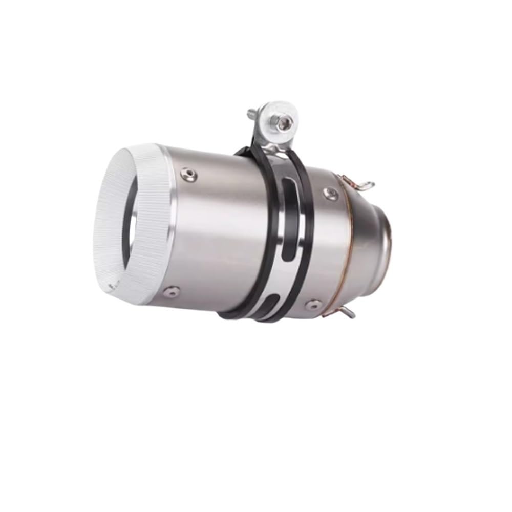 LDUTIU 51MM 60MM Motorrad Auspuffrohr Motorrad Universal Schalldämpfer Für S1000RR Für Z900 Für Tmax 530 Für R6 Auspuffrohr(60mm-P) von LDUTIU