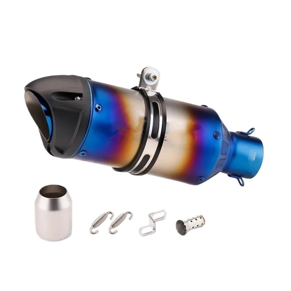 LDUTIU 51mm Universal Motorrad Auspuffrohr Linke Und Rechte Seite Schalldämpfer Für Z400 Für Z650 Für Z900 Für GSX-250R Für R6 Für R15 Auspuffrohr(Blue Right) von LDUTIU