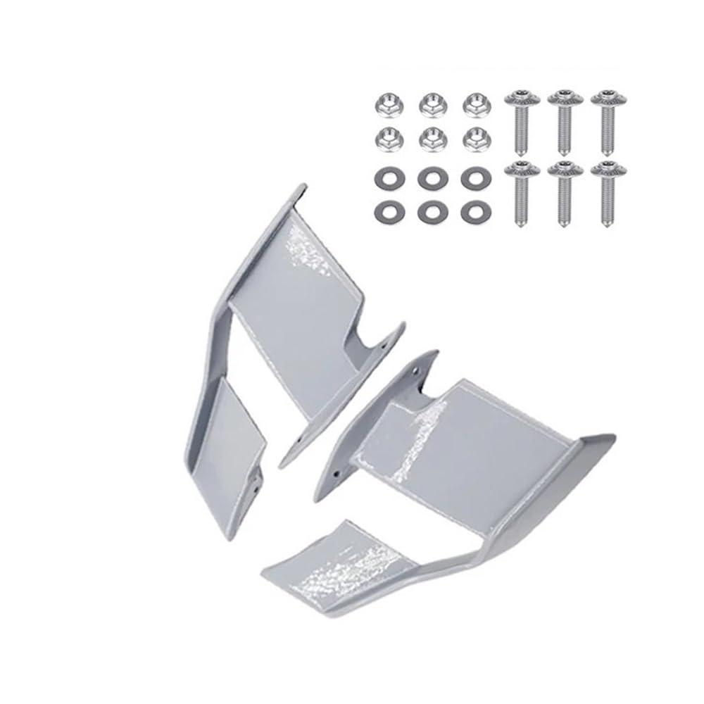 LDUTIU Motorrad Fixed Wing Windschutzscheibe Flügel Verkleidung Vorne Aerodynamische Spoiler Winglet Für S1000R Für M1000R 2021 2022 2023(Grey) von LDUTIU