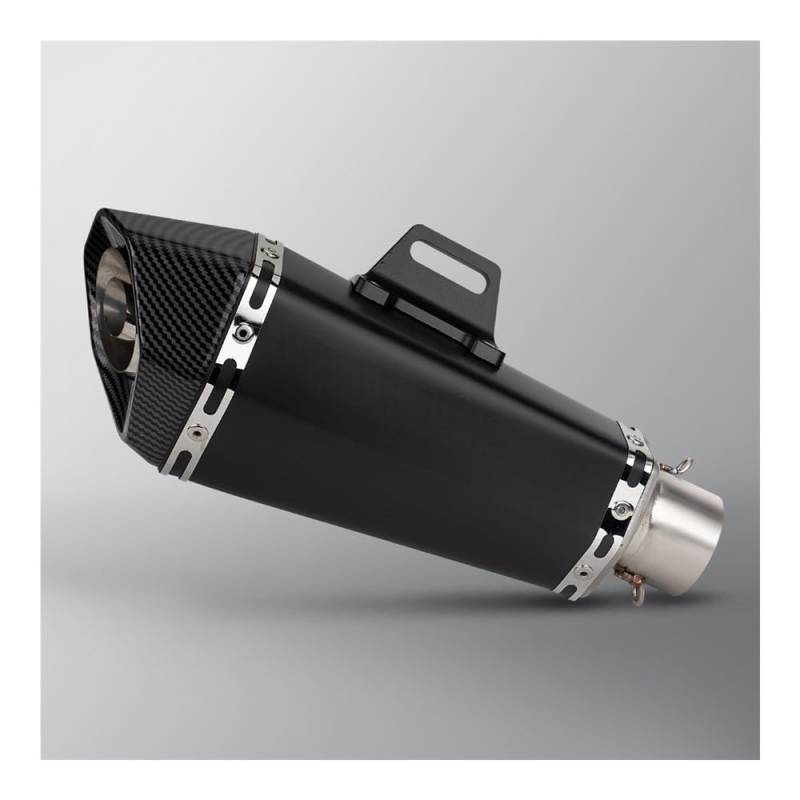 LDUTIU Motorrad Geändert Universal Auspuff Endrohr Schalldämpfer Für Ninja400 Für Z800 Für NSS350 Für R6 T700 Für FZ6 Für NMAX Auspuffrohr(Color B) von LDUTIU