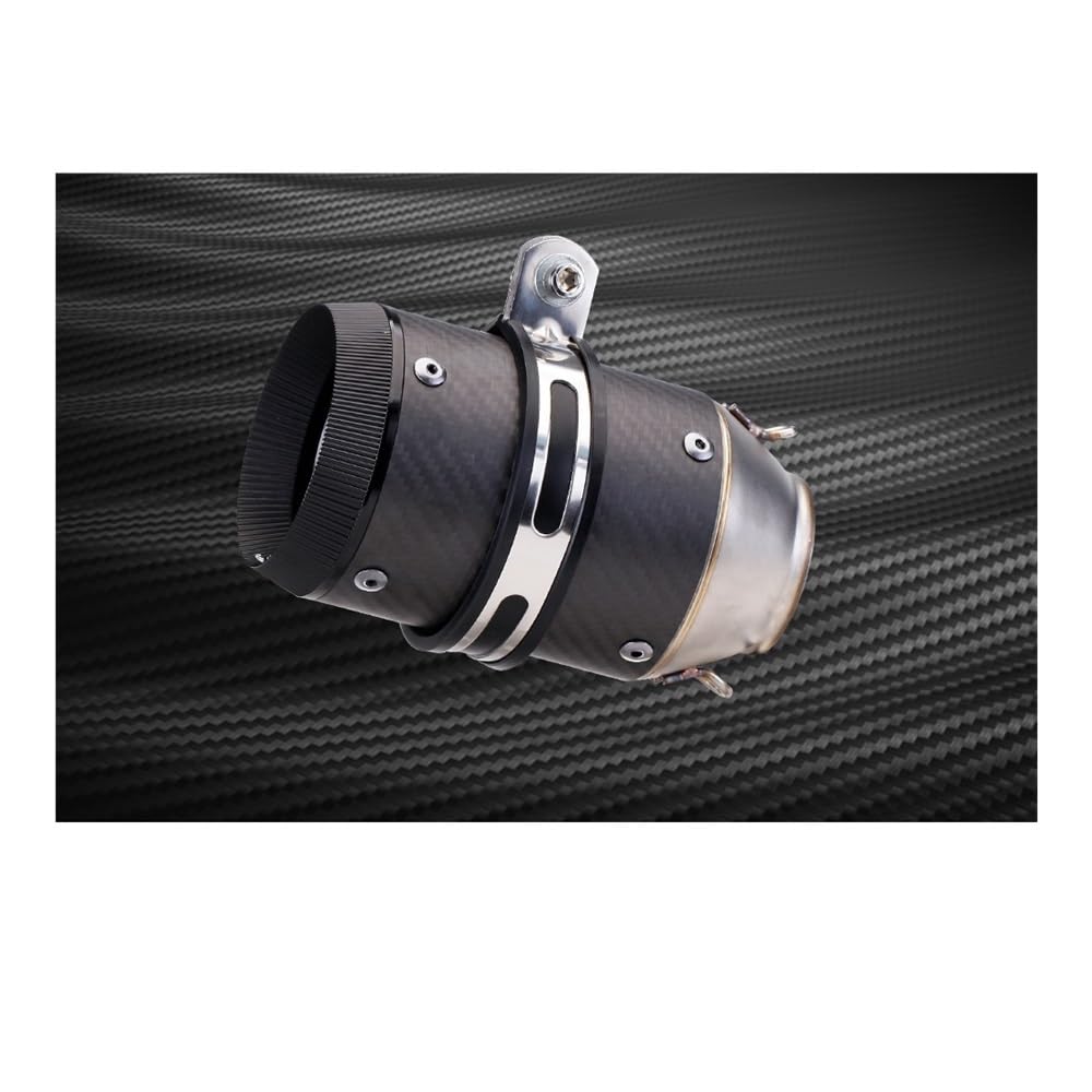 LDUTIU Universal 51MM Motorrad Auspuff Schalldämpfer Doppel Loch Auspuffrohr Für 821 Auspuffrohr(Color D) von LDUTIU