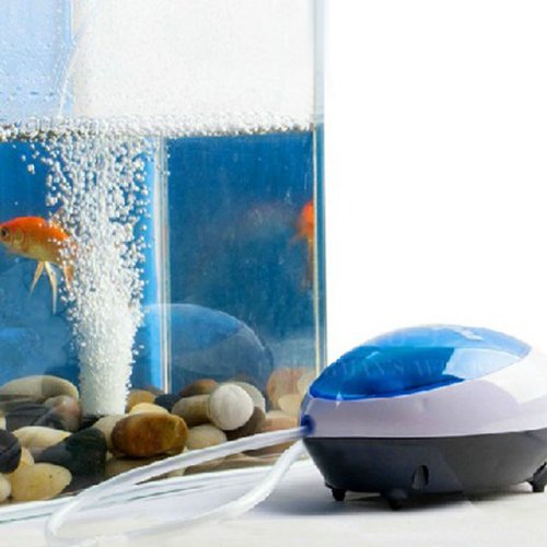 LEECOM AU-312 Aquarium Wasserpumpe, Ultra Silent Hohe Energieeffektivität Aquariumwasser Luftpumpe Sauerstoff Aquarium Luftpumpe Steinwasser Teichpumpe (2W, Aquarium Sauerstoffpumpe) von LEECOM AU-312